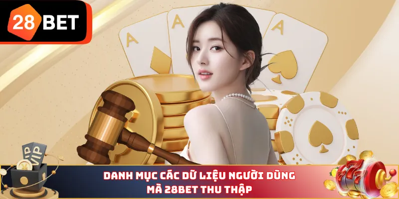 Danh mục các dữ liệu người dùng mà 28BET thu thập